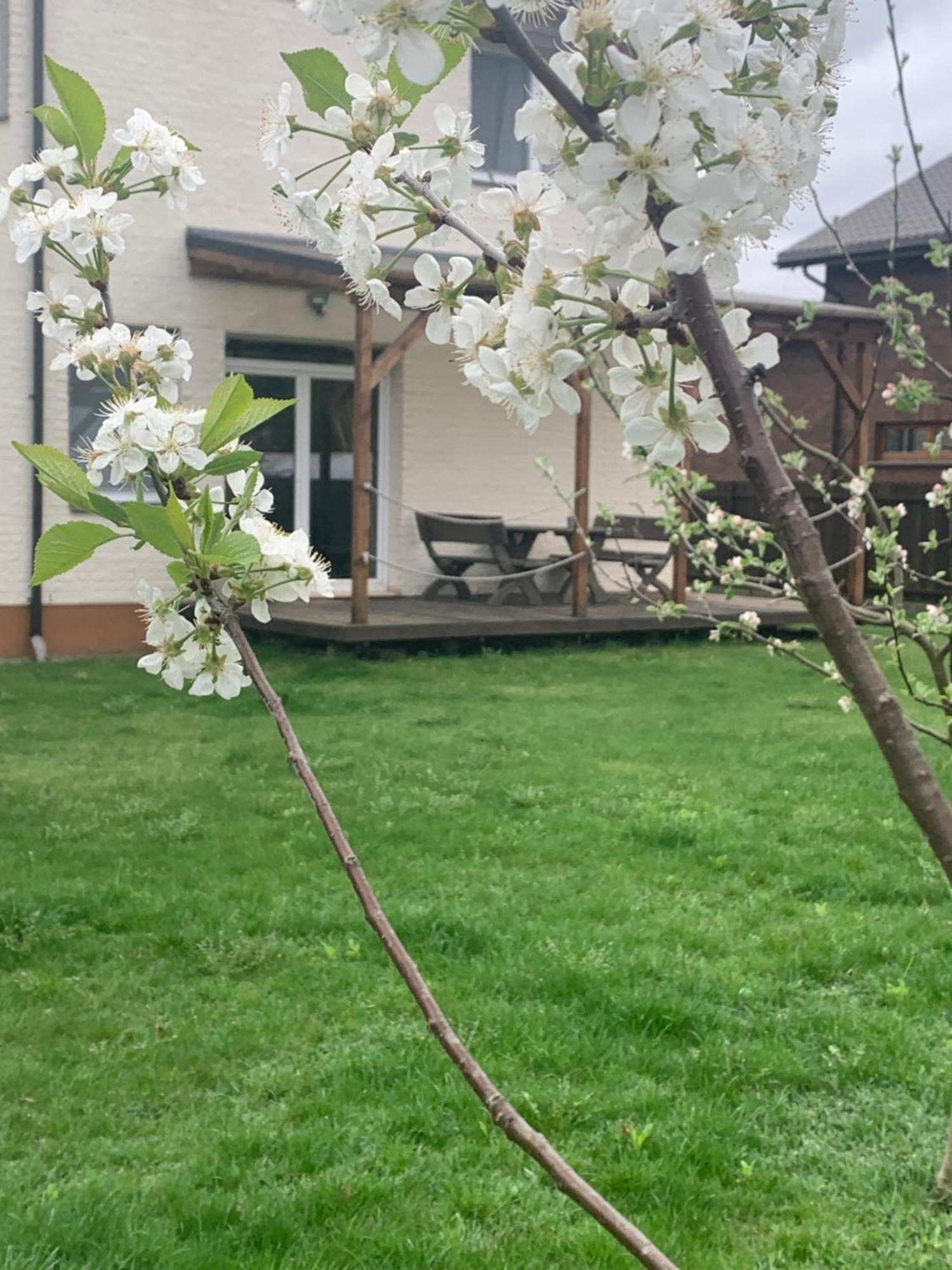 Pilaites Svetingi Namai Apartment Vilnius Luaran gambar